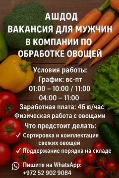 Вакансия в Ашдоде для мужчин на обработку овощей