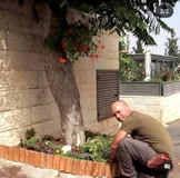 Профессиональные услуги садовника: уход, посадка, обрезка и оформление сада