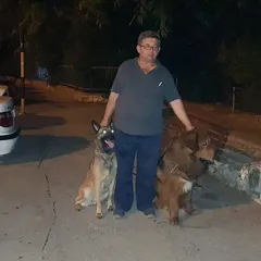 Терапия с помощью собак для всех возрастов на дому